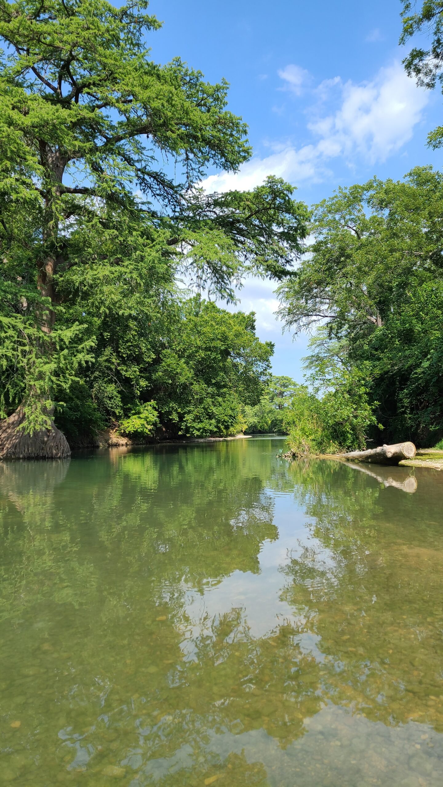 San Marcos River at San Marcos Scout Camp TG Canoes & Kayaks
