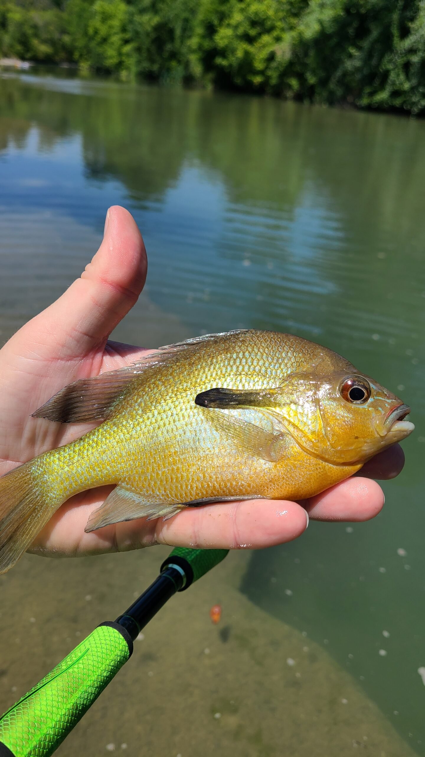 San Marcos River at San Marcos Scout Camp TG Canoes & Kayaks